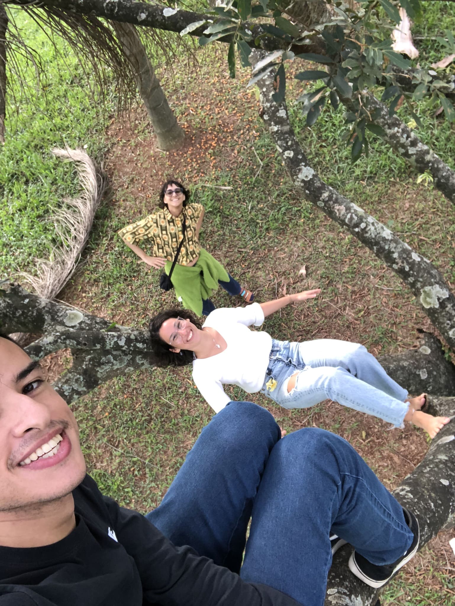 Escalando árvores